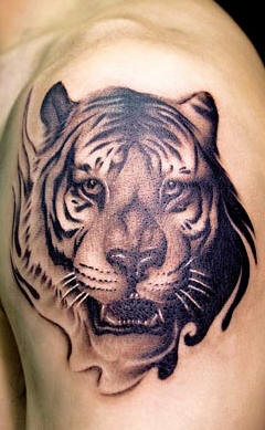 tigri-tatuaggi-21