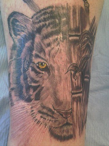 tigri-tatuaggi-27