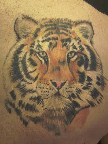 tigri-tatuaggi-28