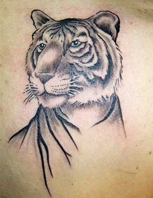 tigri-tatuaggi-33