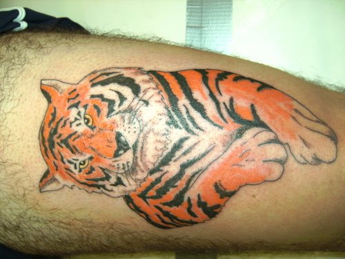 tatuaggi-di-tigri-06