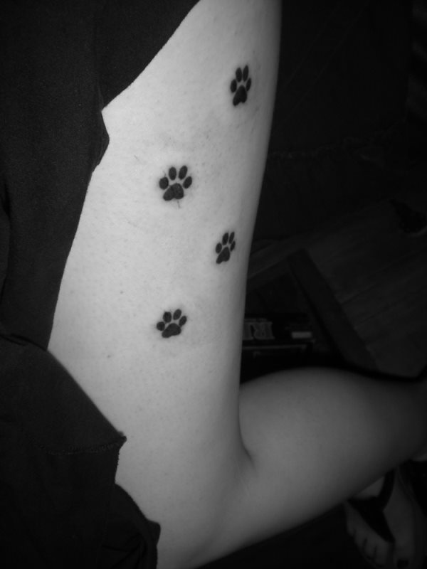tatuaggio zampa di cane 153