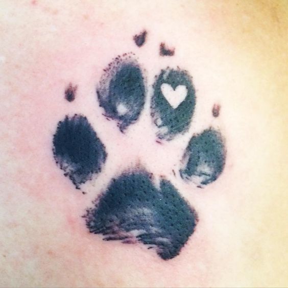 tatuaggio zampa di cane 181