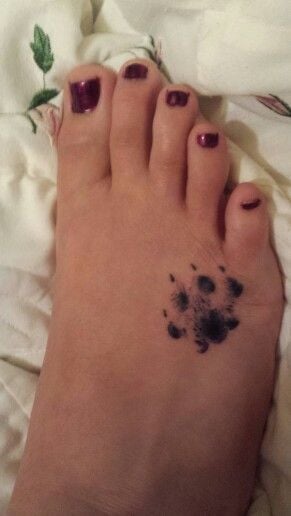 tatuaggio zampa di cane 251