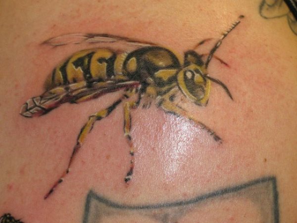 58 Tatuaggi di api e vespe: Galleria di foto