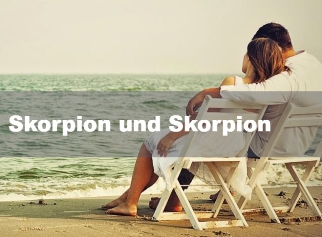 Skorpion und Skorpion