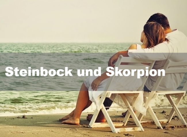 Steinbock und Skorpion