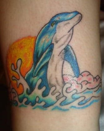 delphin tattoo 501
