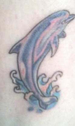 delphin tattoo 502