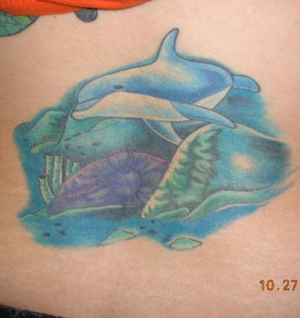 delphin tattoo 504