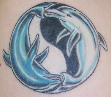 delphin tattoo 519