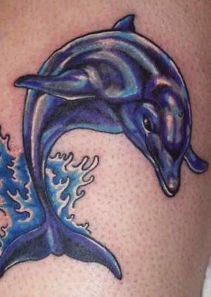 delphin tattoo 522