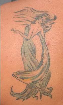 delphin tattoo 527