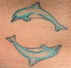 delphin tattoo 529