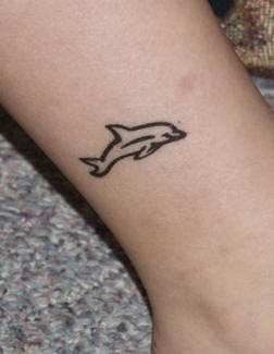 delphin tattoo 543