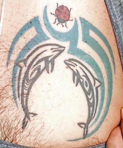delphin tattoo 544