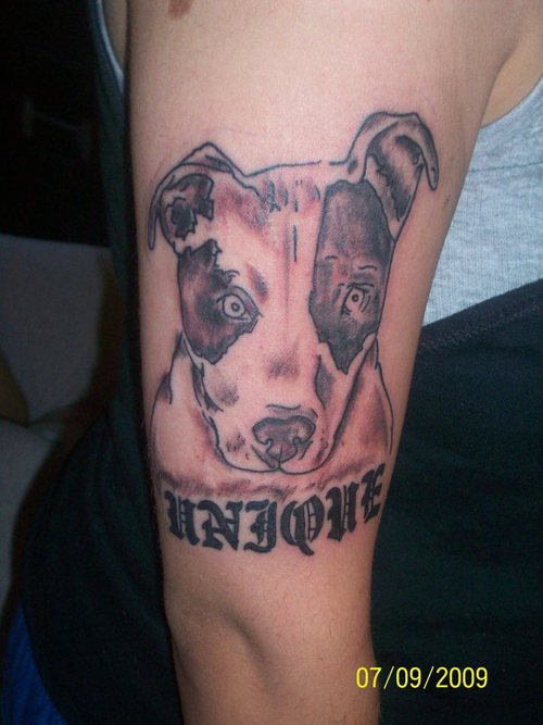 208 hund tattoo