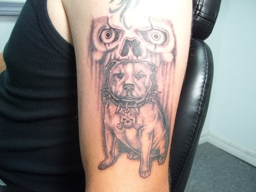 209 hund tattoo
