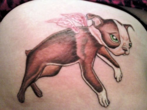 218 hund tattoo