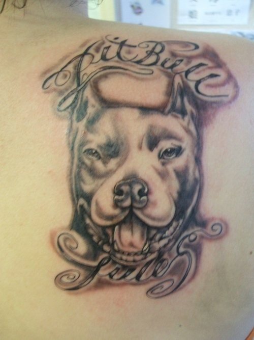 228 hund tattoo