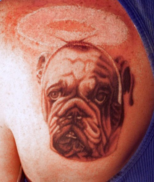 240 hund tattoo