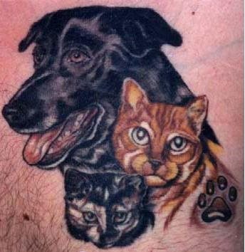 242 hund tattoo