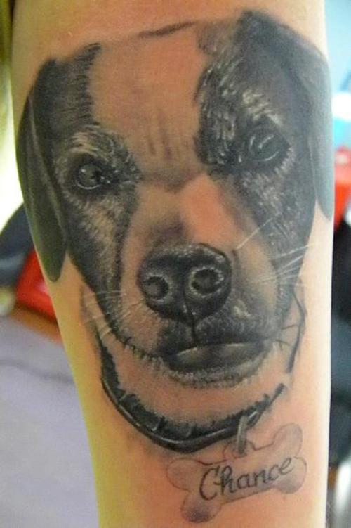 244 hund tattoo