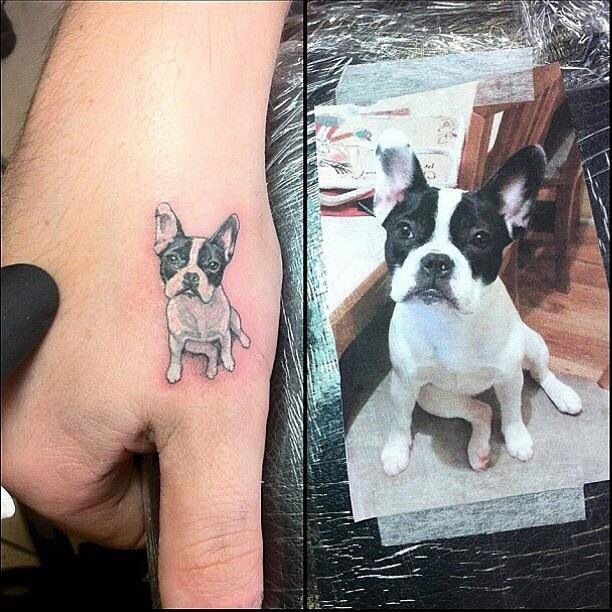 247 hund tattoo