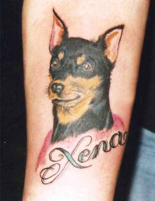 250 hund tattoo