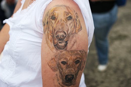 256 hund tattoo