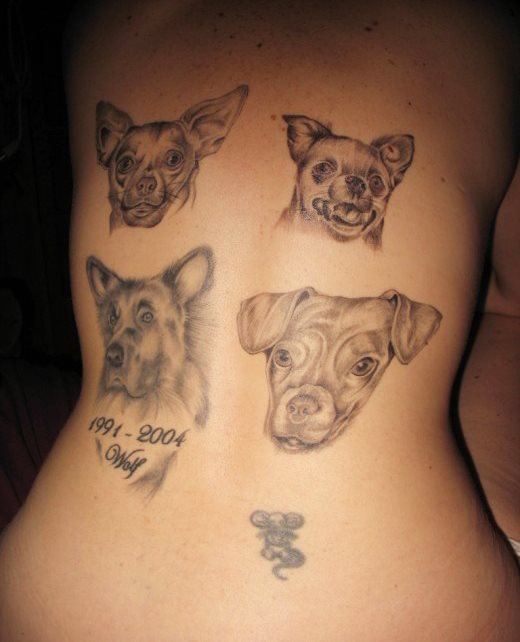 257 hund tattoo