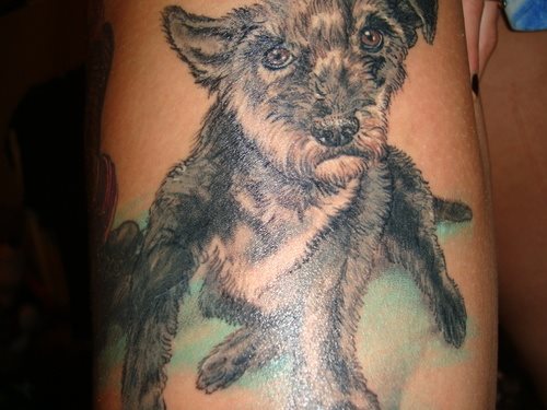 261 hund tattoo