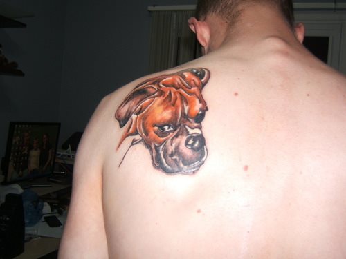 262 hund tattoo