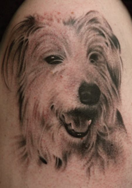 hund tattoo 51