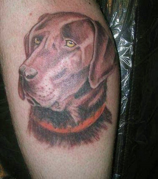 hund tattoo 52