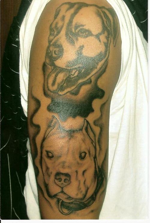 hund tattoo 66