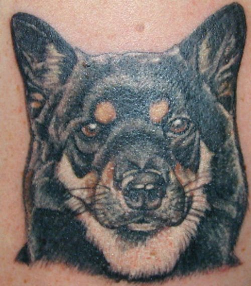 hund tattoo 80