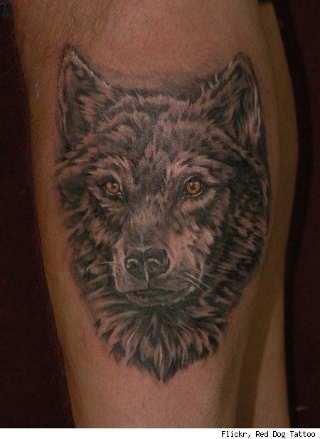 hund tattoo 82