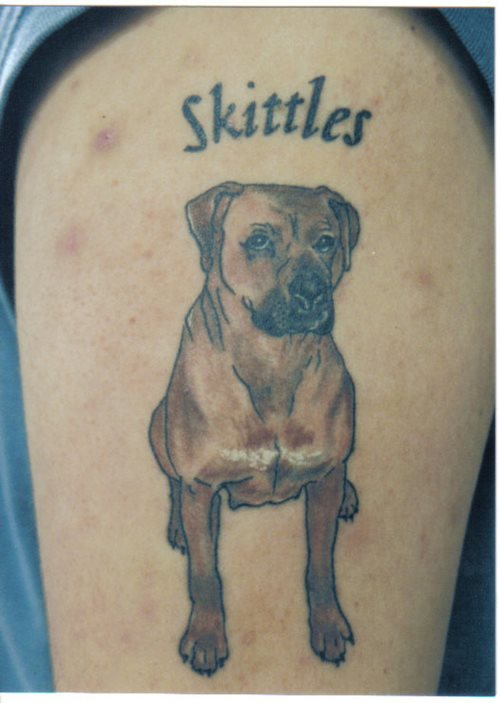 hund tattoo 91