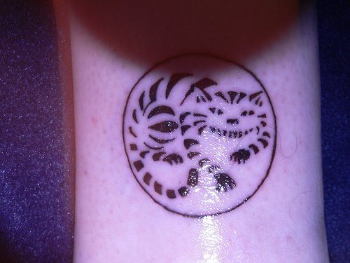 knochel tattoo 1068