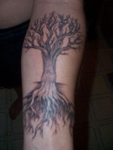 lebensbaum tattoo 587