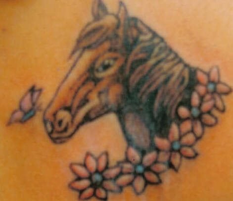 pferd tattoo 504