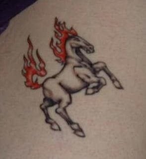 pferd tattoo 505