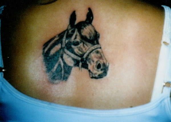 pferd tattoo 508
