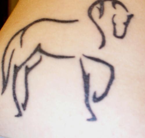 pferd tattoo 509