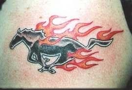 pferd tattoo 510