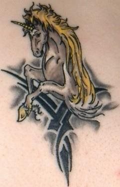 pferd tattoo 517