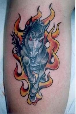pferd tattoo 520