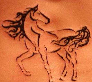 pferd tattoo 525