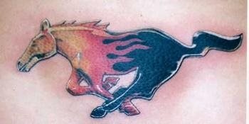 pferd tattoo 528